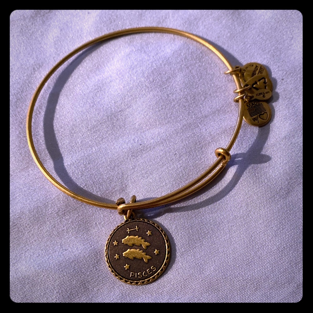 Alex and Ani pieces bracelet
